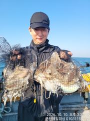⭐군산제일피싱호/월요일부터 출조여유요/씨알굿⭐