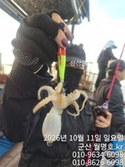 10일, 쭈구미,갑오징어 좋아요~오늘도 스타트~오전반~실시간~군산낚시프라자 월명호