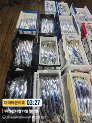 [진해] 씨알에 마릿수 매일만쿨대박행진! 예약가능! 전화주세요~ 사진