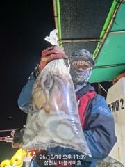 삼천포 문어, 주꾸미 조황!