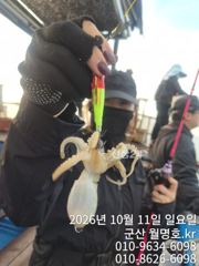 11일 오전