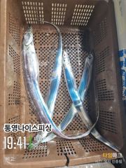 [통영] 통영나이스피싱!!! 굵은왕갈치. 많이 들어왔어요. 화요일 자리여…