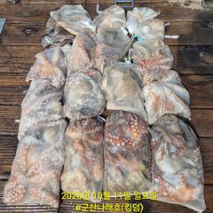10/11 군산나래호(킹덤) 주간문어 전체조황입니다 내일 자리 여유있습니다
