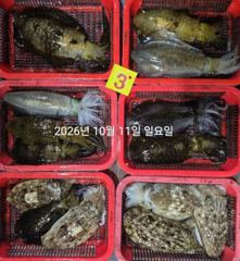 [진해] 팁런무늬!!내일도 달립니다!!고고씽!!예약가능
