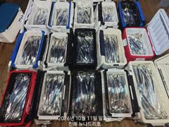 내만 갈치 손맛 찐한 호조황이 또 이어지고~~(오늘2,월욜부터 예약 가능)