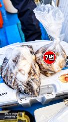 [10일] 쭈꾸미 8분 출항, 1번~8번 모든 자리 별 조황 사진! 가을은 깊어 지고, 겨울로 가는 바람은 불어 오고…