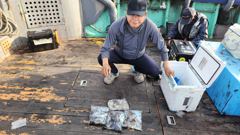 2026년 10월 11일 ^갑2^ 조황