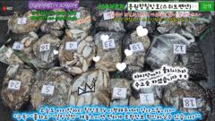 10월11일 홍원항힐링호 쭈반갑반^^ 조황~!쭈갑애들 괜찮네요ㅎㅎ장원8kg~ 2등7.1kg 부부조사님 10kg오바~오늘도 손맛들 보시고 먹물파티하고왔습니다ㅋㅋ수고들 많으셨습니다~