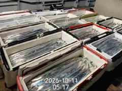 먼바다왕갈치(16석.외줄)3지4지5지!낼 월욜 예약가능합니다