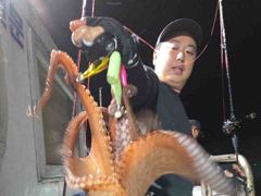 (목,금,토~야간문어예약중) 씨알급쭉쭉뽑고~~ 이번주기상물때굿 사진