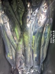 통통 살 오른 갈치가 퍽ㆍ퍽 텐빈 6자리있어요~ 사진