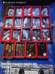 대삼치 중삼치 고시 그리고 무늬 팁런