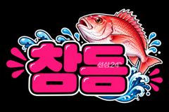 ((참돔))평일 10만출초~~ 마릿수 씨앗 쥑입니다~~평일 10만 출조합니다~~ 사진