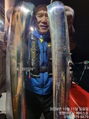 은빛 대갈치 축제속으로 쿨러 채우로 오세요
