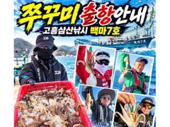 <고흥권 왕쭈꾸미!!!> 사이즈 굿 마릿수 최고!! 밀린조황올립니다. 이번주 금,월,화 자리여유! 010 4848 0776 사진