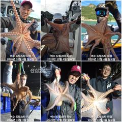 (여수 드림스타)이번 황금물때 돌문어사냥나갑니다!~자리여유 많아요.