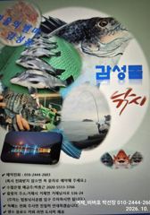 "거제 비버호" 감성돔 흘림 조황(13일 예약가능). 사진