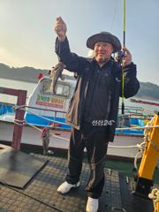 덕진좌대 10.12일 우럭대박 조과 사진