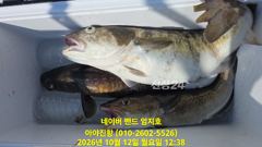 2026 10 12 대구라바 사진