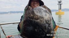10/12 쭈꾸미 갑오징어 조황 사진
