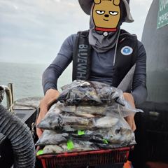 인천 [마린스타 1호] 10월 12일(월) [갑오징어] 조황!!! 사진
