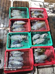 무늬 k3000 얼굴 한번보시죠 사진