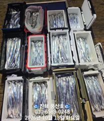 (풍산)내만갈치~어마어마~퍼담고~대박~(오늘,예약가능합니다) 사진