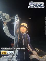 [거제] 본격적 갈치시즌 초대박 !! 사진