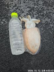 12일 군산킹마린호 갑오징어조황 다음주자리여유 사진