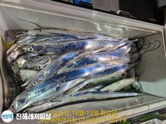 내만칼치ㅡ씨알.마릿수 초대박~어마어마하게 퍼담고(오늘 예약가능) 사진