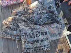 #이번주말 쭈꾸미 출조합니다!!(일요일 6자리여유!!!)