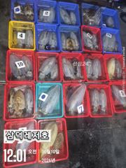 [팁런]대물,시즌,k,k,무시급(목요일,출항확정) 사진