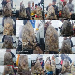 쭈꾸미 피딩! 평일 오전11시~주말 오전6시 30분 출항 사진