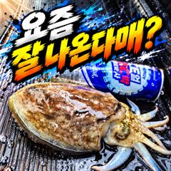 [팀바이트호] 10월12일 갑오징어 낚시