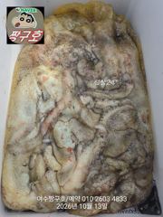 여수 짱구호 10월13일(화) k문어 조황 사진