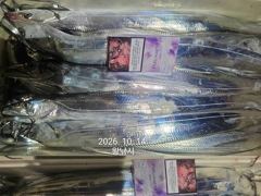[진해] 내만갈치 美친..씨알깡패! 퍼담고 쓸어담고..(목예약가능)