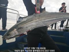 [경주] 대삼치 이제야 들어와 있어요ㅡ내일부터 출항 가능! 사진