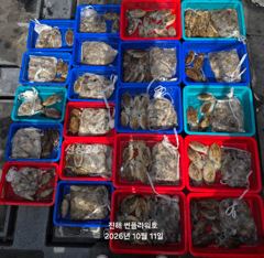 <야간갑오징어>펀치훅훅!수,목~&<주간쭈꾸미>토,일 예약가능 사진
