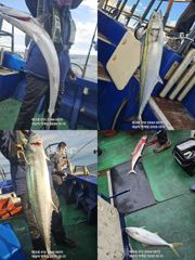 [경주] 테크호 - 대삼치,중방어>>야간팁런(목,금,토,일~모집) 사진