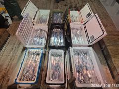 먼바다갈치 텐빈 밤새 짜릿한손맛 기상좋은 목요일출항예약가능