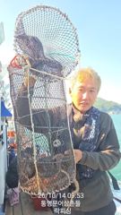 [통영] (원도권)王문어 매일 뽑는 중 K전후 대물터 직항 락피싱(15일…