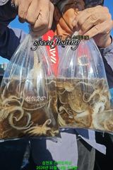 14일 왕주꾸미 조황(낼 선수모집) 사진