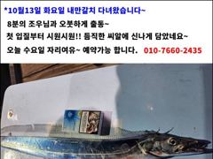 [14일입항] "내만갈치" 3지이상까지!! 손맛보며 쿨러 묵직하게 담았네요~ [일요일부터 예약가능] 010-7660-2435