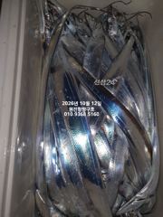 [마산] 내만갈치)퍼담아 퍼담아~쿨러가 무겁습니다~예약중