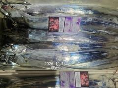 내만갈치 美친..씨알깡패! 퍼담고 쓸어담고.. 사진