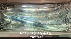 2026년 10월 14일 목요일 내만 갈치 조황