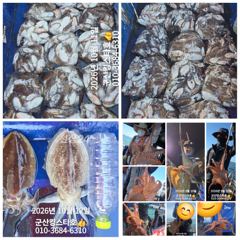 10/15갑오징어출조(1자리여유 ~)군산킹스타호에서~ 사진