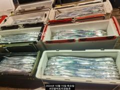 빅토리점경동호 먼바다갈치외줄16석. 만쿨 쿨러조항.오늘목금토월예…