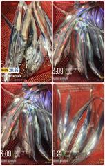 통영 뉴 아시아호>> 어마 무시한 씨알급으로 1인 2쿨러까지 채우고~ 사진