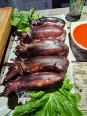 [거제] (무늬오징어)20수는 거뜬 선상 회파티 시즌절정 대동낚시(오늘 …
